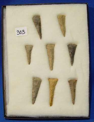 v303a